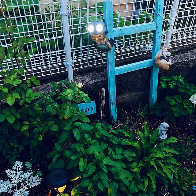 CoCo0617さんの実例写真