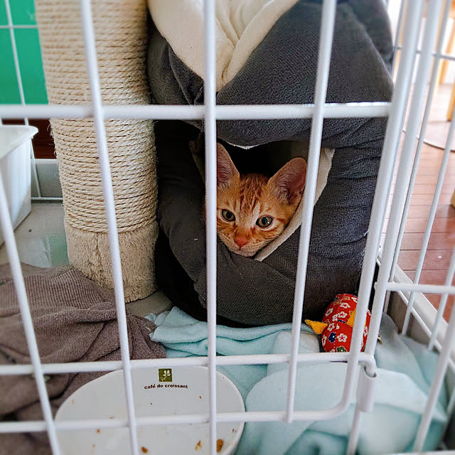 kikiさんの実例写真