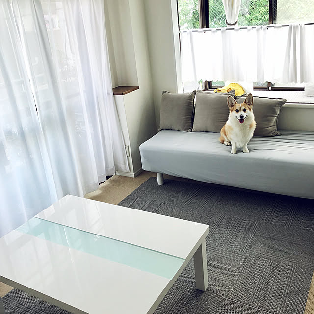 minicorgi8さんの実例写真