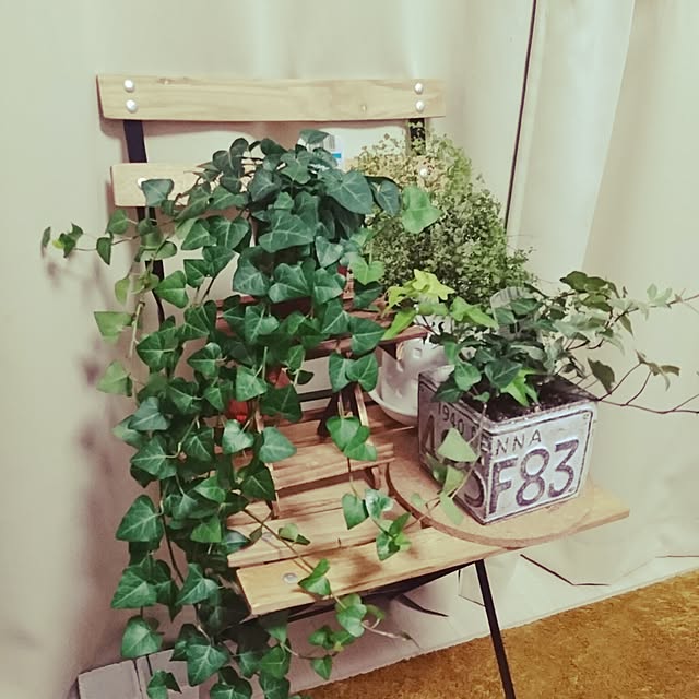 yakoさんの実例写真