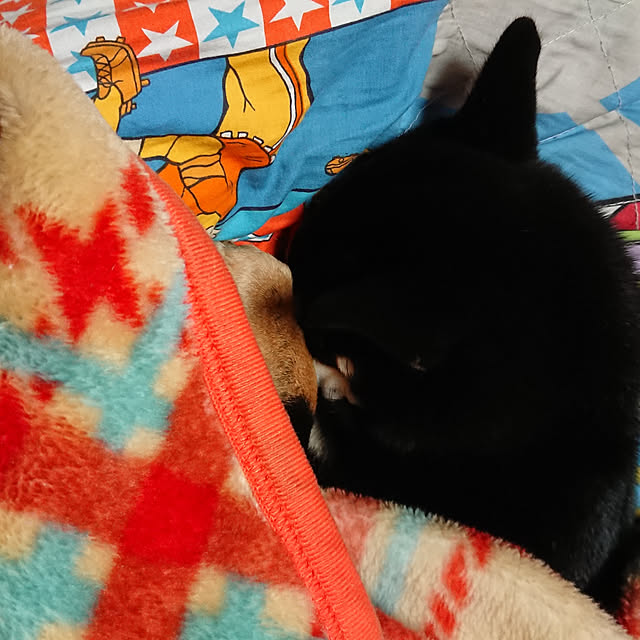xxxakyxxxさんの実例写真