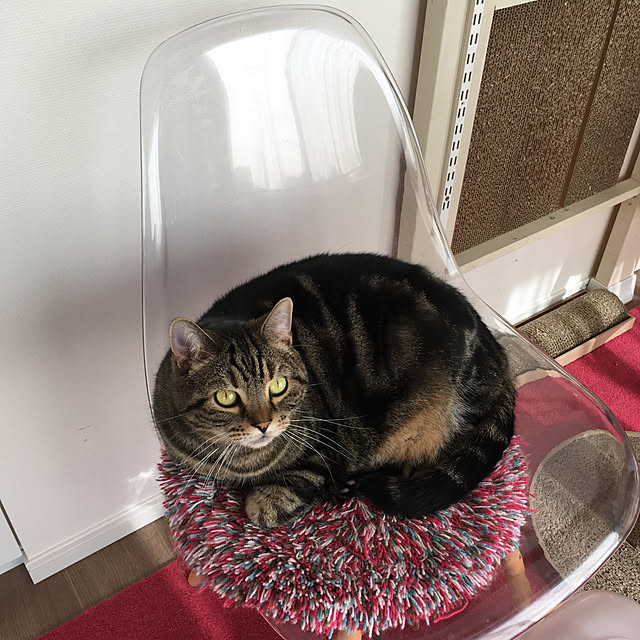 mikomaruさんの実例写真