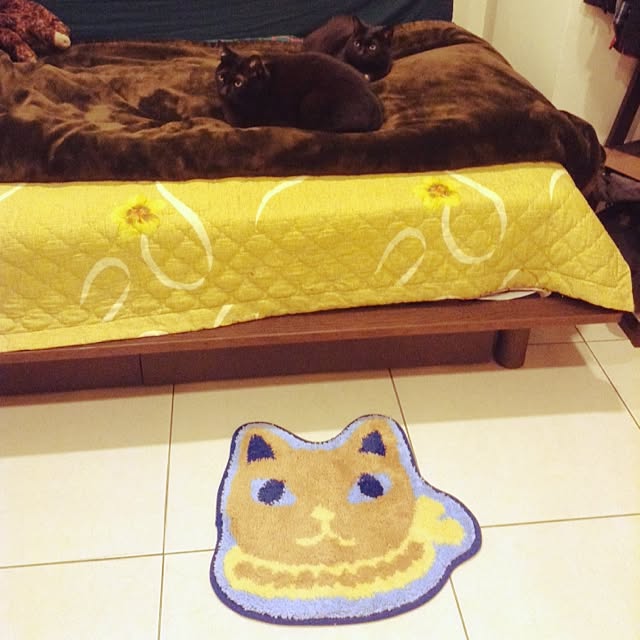 Chia-lingさんの実例写真