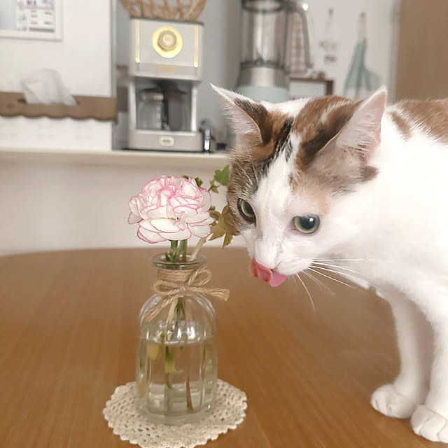 yukinoさんの部屋