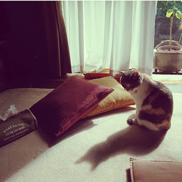 fukuさんの実例写真