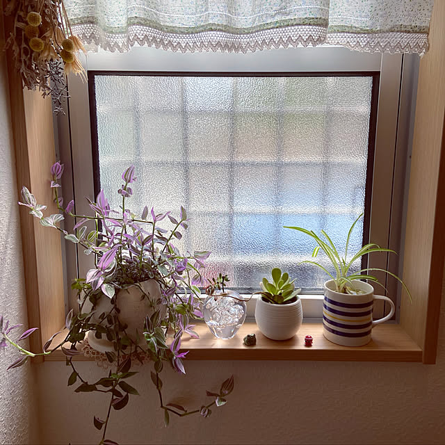 stratomanさんの部屋