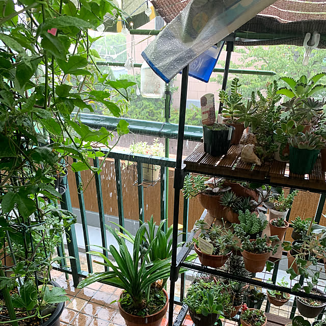 Aqettyさんの部屋