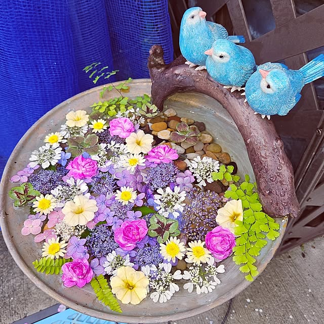 mocomocoさんの部屋