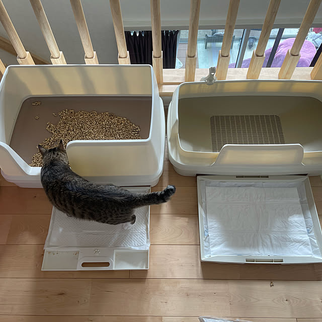 manekinekoさんの実例写真