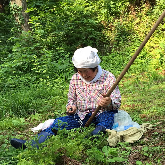 実例写真