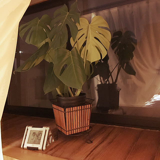 waraihiroさんの実例写真