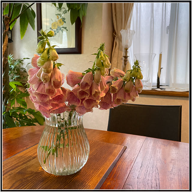 mamizaさんの実例写真