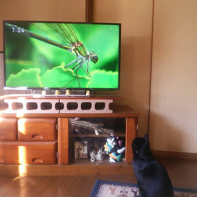 tomopさんの実例写真