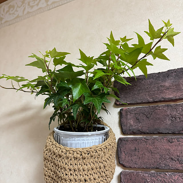 uzuraさんの部屋