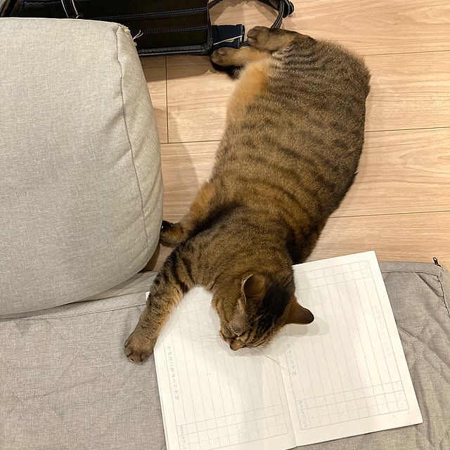 kirinsanさんの部屋