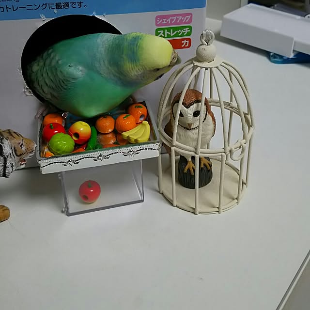 部屋全体のインテリア実例 - 2015-08-29 16:54:19