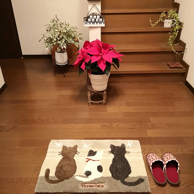 ku-garnet18さんの実例写真