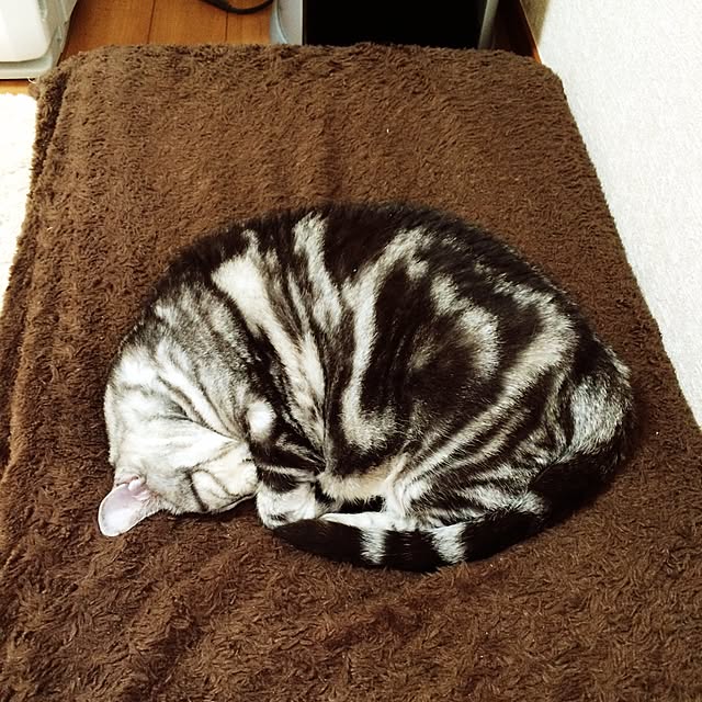 mari23さんの実例写真