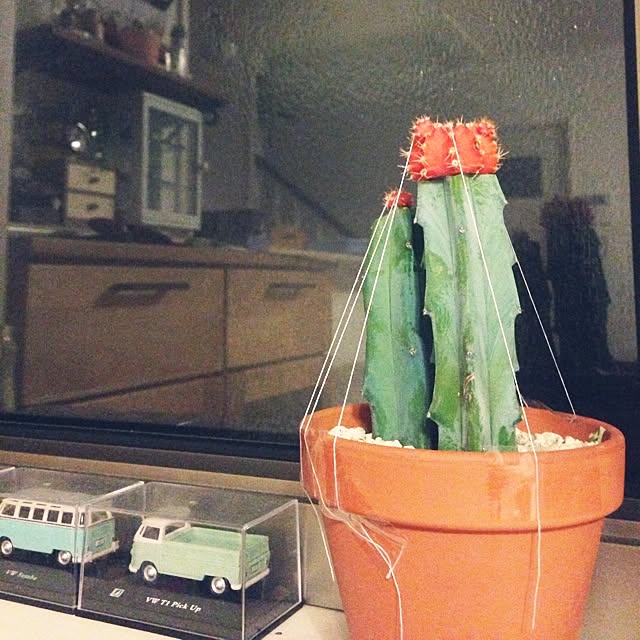 tsuyaさんの実例写真