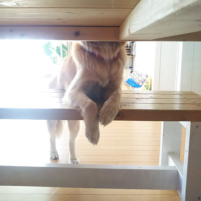 kaoriさんの実例写真