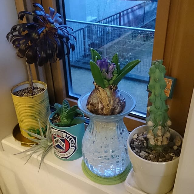 urchinさんの実例写真
