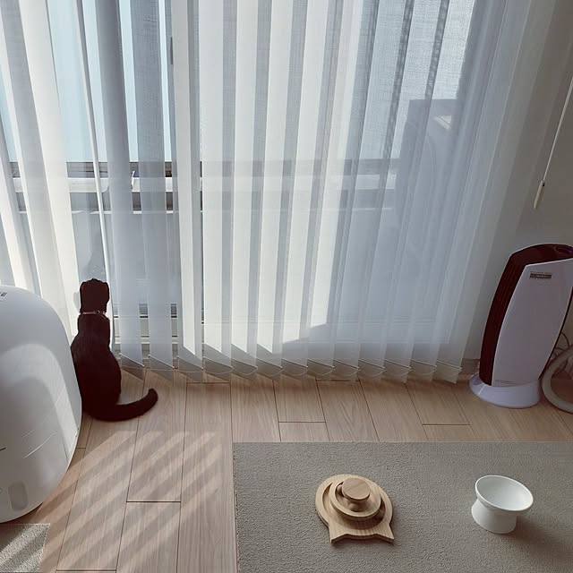 sakuraさんの部屋