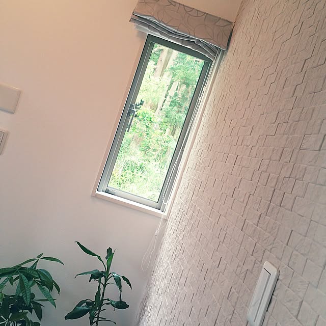 naokoさんの実例写真