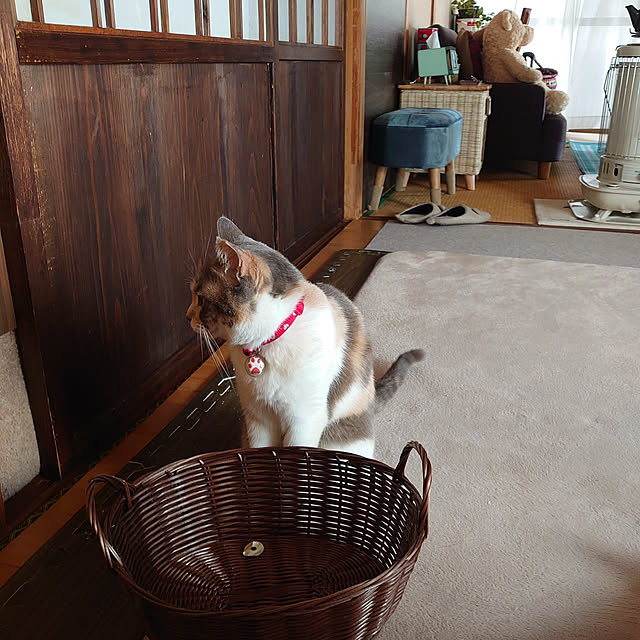 fukuさんの実例写真