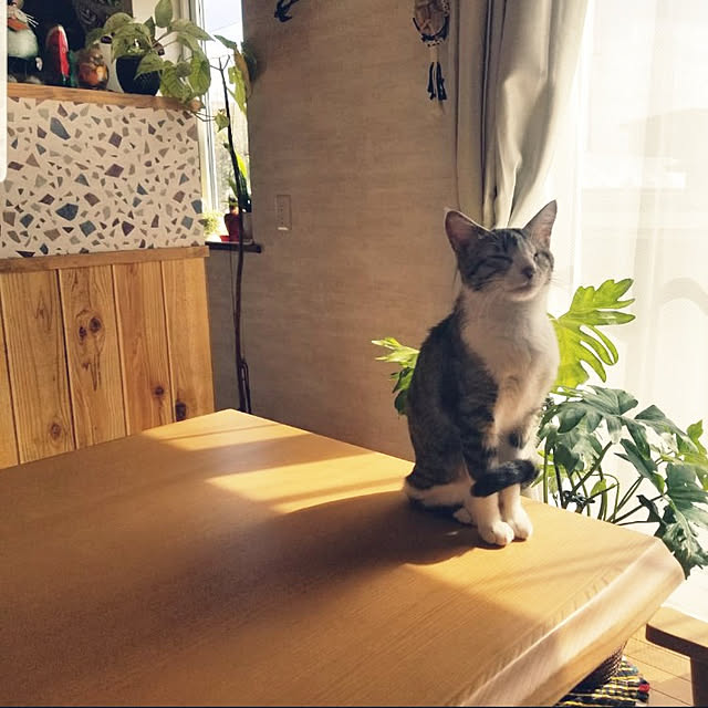 sora3さんの実例写真