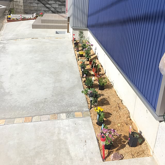 taitaiさんの実例写真