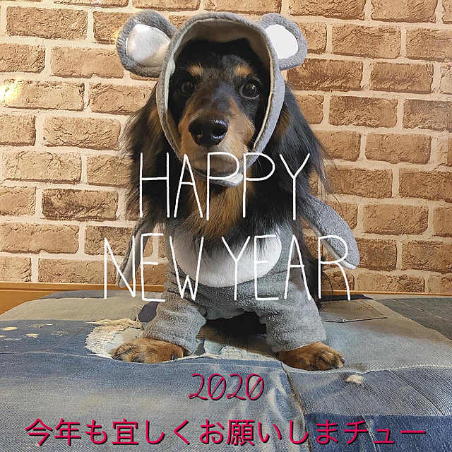 TAKAさんの実例写真
