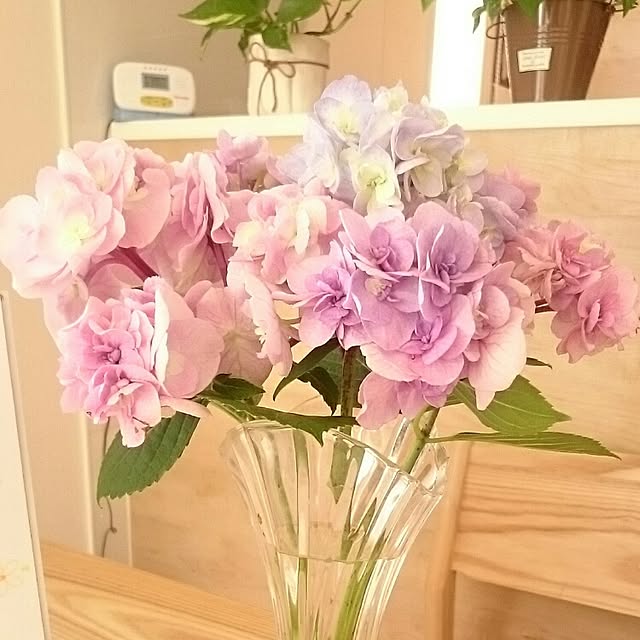 ayasweetさんの実例写真
