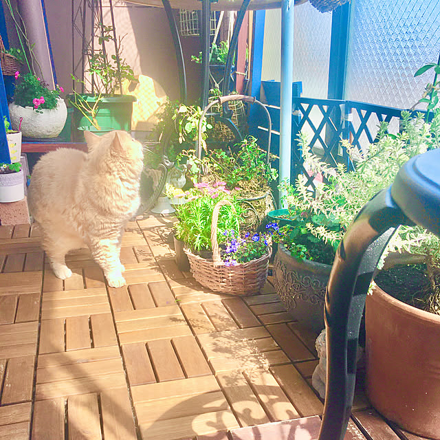 naokoさんの部屋