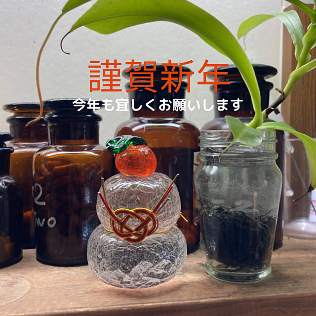 ayuさんの実例写真