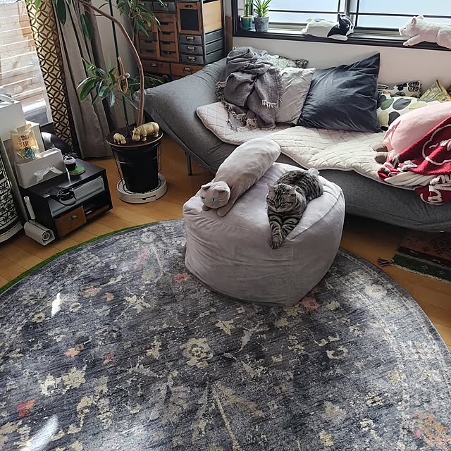 hiro3さんの部屋
