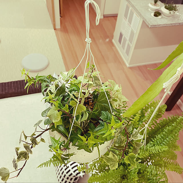 nanakoさんの実例写真