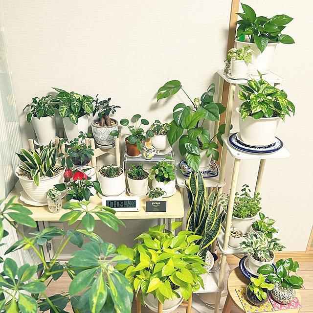 yoyoyoさんの部屋