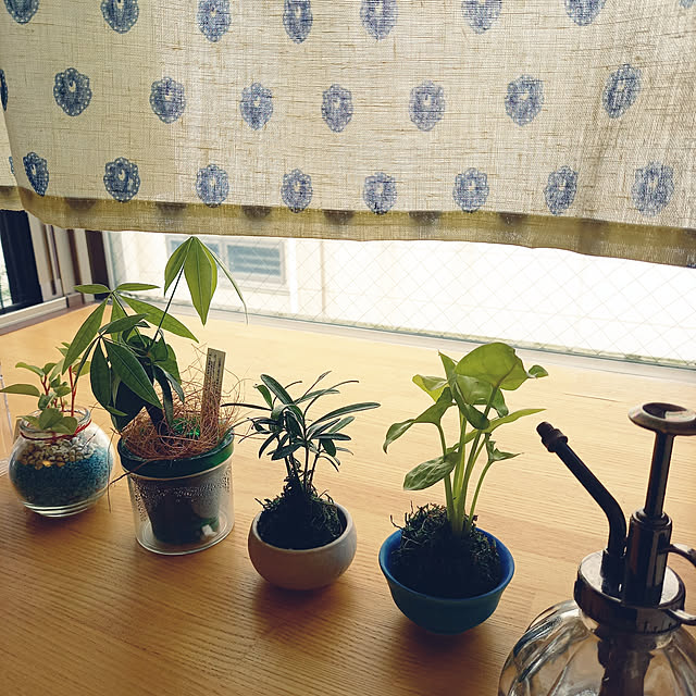pyons_0105さんの実例写真