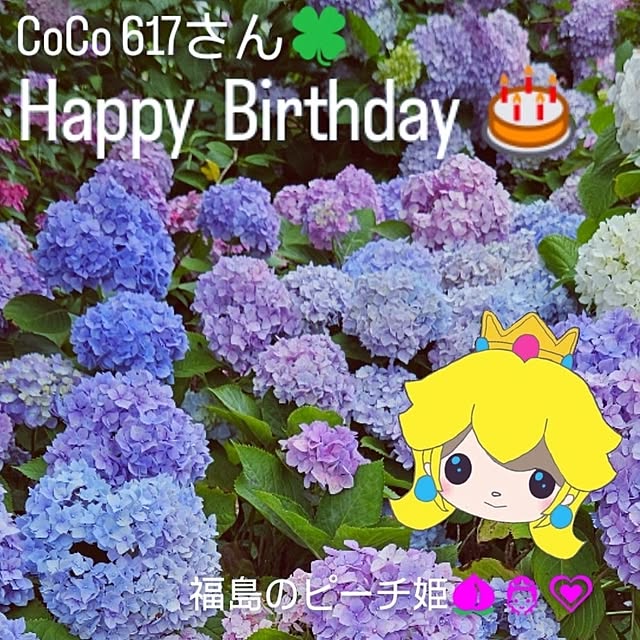 mocomocoさんの実例写真