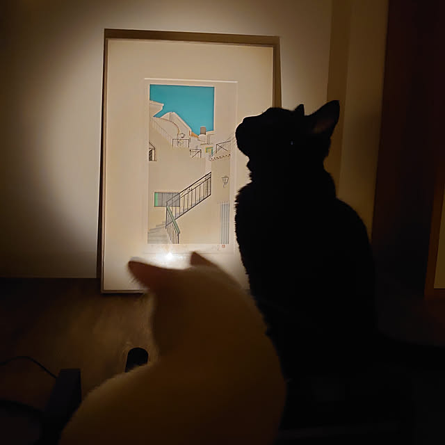 Blackcatさんの実例写真