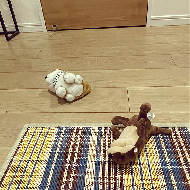 aureaさんの実例写真
