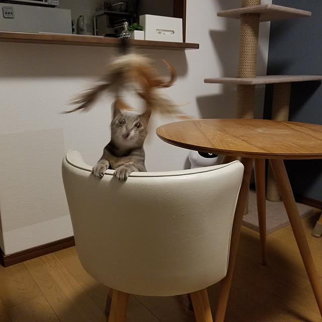 yukiさんの実例写真