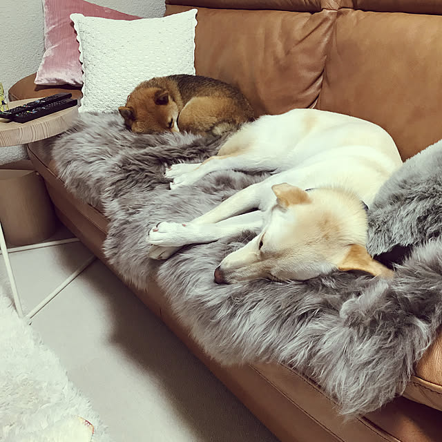 mtkさんの実例写真