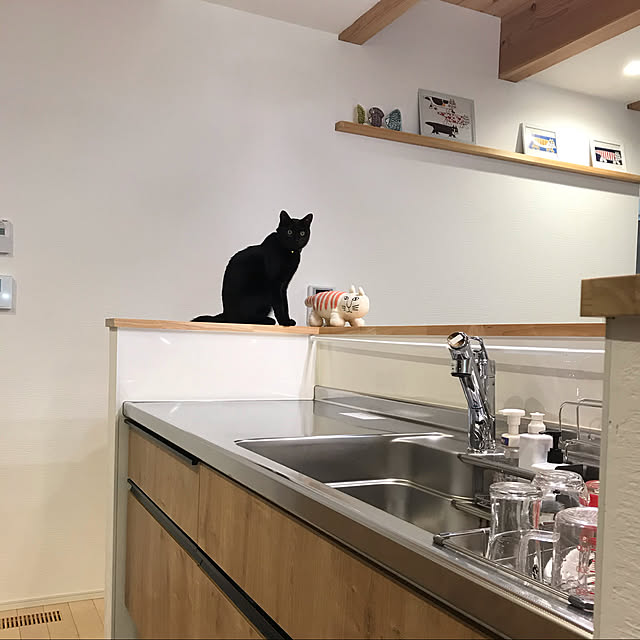 utasさんの実例写真