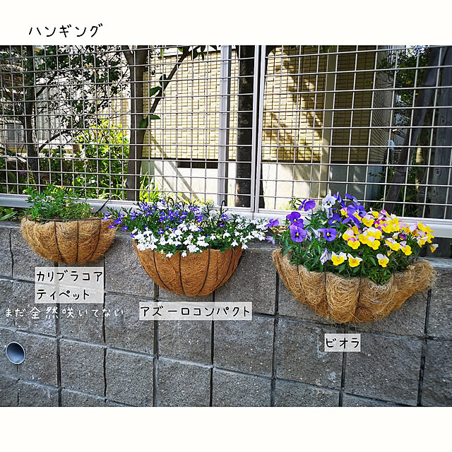nyancoさんの実例写真