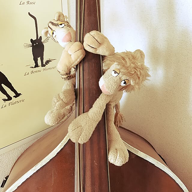 hatsuさんの実例写真