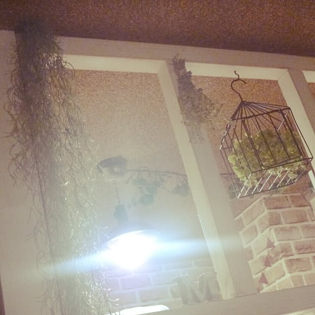 riesanchiさんの実例写真