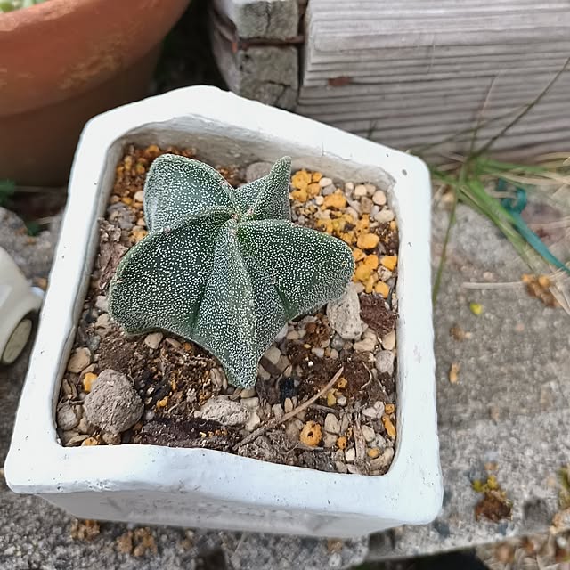 tomo5さんの部屋