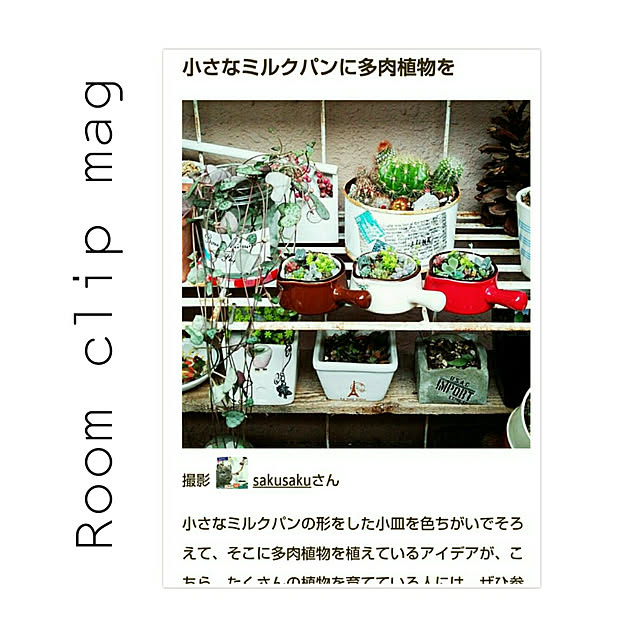 sakusakuさんの実例写真