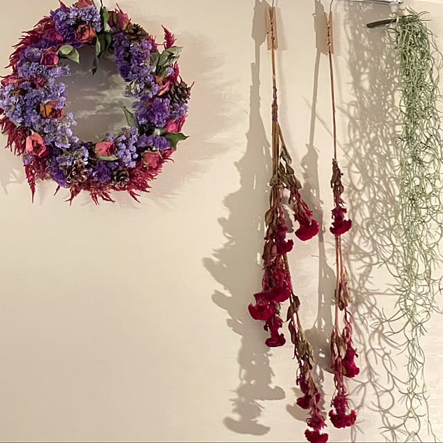 ハンドメイド/セリア/壁/天井のインテリア実例 - 2021-10-31 21:58:55